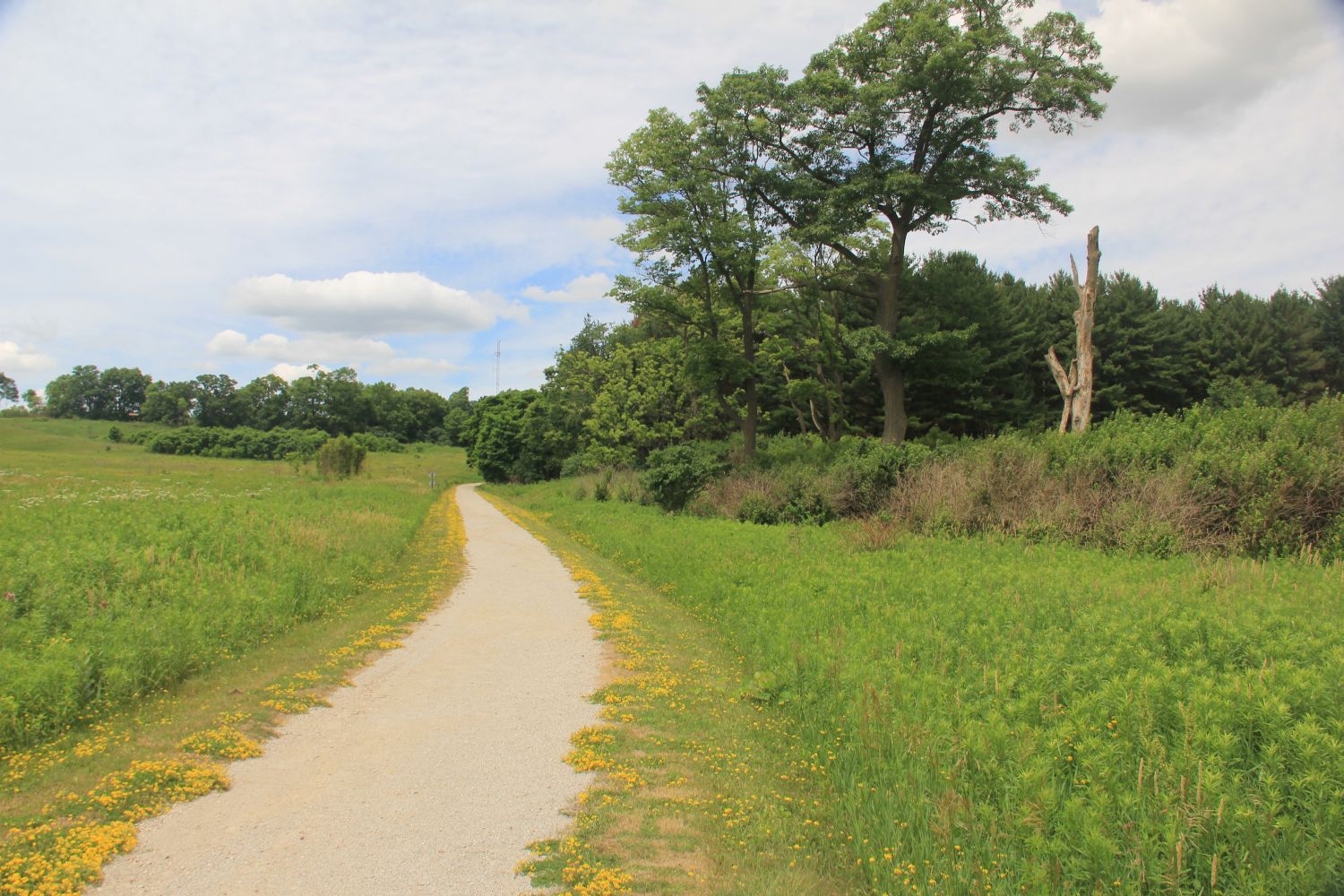 Badger Park Trail 